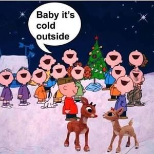 Meet your Posher, Don